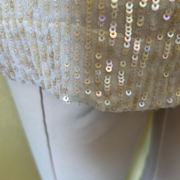 J. Crew Sequin Tank Top Nude Pink Silk Tissue Layered 4 Small Sparkle #27595 - Picture 13 of 14